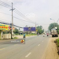 Mặt Tiền Dt769 Đi Sân Bay Long Thành - Dt: Ngang 15X40M Tc 100M - Sổ Riêng - Kinh Doanh Thuận Lợi