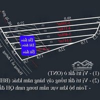 Chỉ 2Xxtr Sở Hữu Vườn Sầu Riêng 2 Năm Tuổi Diện Tích 400M2 Sẵn 80M2 Thổ Cư Vị Trí Đắc Địa