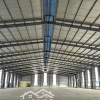 Trống Nhà Xưởng May Mặc 2800M2, 4500M2, Thiết Kế Chuẩn Xưởng May, Pccc Tự Động