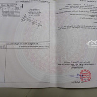 Gia Đình Cần Bán Gấp Lô Đất Thổ Cư - Cạnh Nhà Thờ Ngọc Lâm Tân Phú Đồng Nai