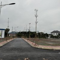 Bán Đất Tại Viên An Trong Đê,Diện Tích81M2 Lô Góc 3Mt, Vuông Đẹp, Ô Tô, Thông, Sát Đấu Giá, Giá Rẻ