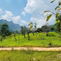 Cắt Lỗ 700M2 Đất Tt Mộc Châu, Phù Hợp Làm Homestay.