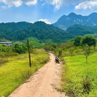 Cắt Lỗ 700M2 Đất Tt Mộc Châu, Phù Hợp Làm Homestay.