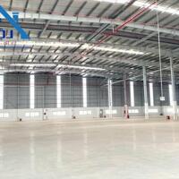 Cho thuê xưởng 23.000m2 KCN Phú Mỹ, Bà Rịa Vũng Tàu giá 4$/m2