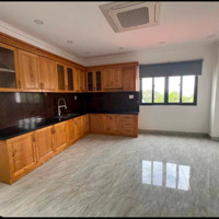 Hàng Hiếm Siêu Đẹp Nhà Đường Phạm Đình Toái, Phường 6, Quận 3 - Giá:4Tỷ870/62,5M2 (4,6X13,6M)