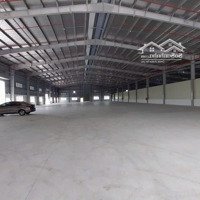 Cho Thuê Kho, Nhà Xưởng 1000M2 Tại Mạc Đăng Doanh, Dương Kinh, Hải Phòng, Giá Thỏa Thuận