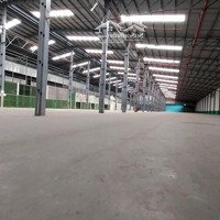 Cho Thuê Kho, Nhà Xưởng 8000M2 Tại Đường 10, An Lão, Hải Phòng, Giá Thỏa Thuận