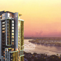 Giỏ Hàng Căn Hộ 3 Phòng Ngủlumiere Riverside, Quận 2 Giá Siêu Hấp Dẫn