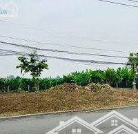 Bán Đất Xào 800M2/300 Triệu An Sơn Thuận An Bình Dương - Công Chứng Trong Ngày