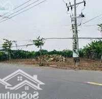 Bán Đất Xào 800M2/300 Triệu An Sơn Thuận An Bình Dương - Công Chứng Trong Ngày