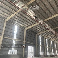 Cho Thuê Kho, Nhà Xưởng Tại Tứ Kỳ, Làm Fdi, Giá 75 Nghìn / M2,Diện Tích9000 - 18.000 M2, Có Pccc Tự Động