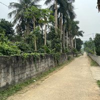 Chính Chủ Bán 7100M2 Đất Trang Trại Khu Nghỉ Dưỡng, Tại Xã Phú Nghĩa, Lạc Thuỷ, Hoà Bình