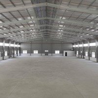 Cho Thuê Kho Xưởng Mới Xây Kcn Tân Phú Trung, Củ Chi, Diện Tích: 2.400M2 - 2.551M2, Pccc Tự Động