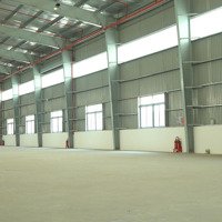 Cho Thuê Kho Xưởng Mới Xây Kcn Tân Phú Trung, Củ Chi, Diện Tích: 2.400M2 - 2.551M2, Pccc Tự Động