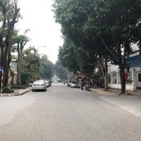 119.3M2 Đất Kinh Doanh Mặt Đường Đinh Công Trứ, Hưng Phúc, Vinh, Nghệ An. Vip Trung Tâm Thành Phố