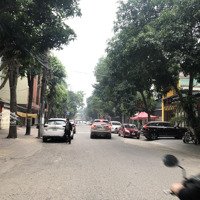 119.3M2 Đất Kinh Doanh Mặt Đường Đinh Công Trứ, Hưng Phúc, Vinh, Nghệ An. Vip Trung Tâm Thành Phố