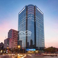 Cđt Chính Thức Tung Ra Siêu Phẩm 10.000M2 Tại Trường Chinh - Nguyễn Trãi, Phù Hợp Mọi Loại Hình