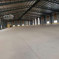 Cho Thuê Kho, Nhà Xưởng - Linh Hoạt Diện Tích Từ 300M2 Tại Đà Nẵng - Giá Ưu Đãi Dịp Cuối Năm