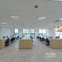 Còn Duy Nhất Văn Phòng Full Nội Thất Quận 3Diện Tích230M2 Giá Siêu Tốt. Vị Trí Đắc Địa Nam Kỳ Khởi Nghĩa