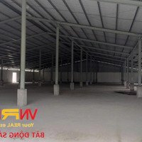 [Bán/Cho Thuê] 03 Xưởng Mới Xây Trên Hơn 1 Mẫu Đất Lạc Tấn, Tân Trụ, Longan Có Thu Nhập 500 Triệu/Tháng