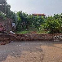 Cc Cần Bán 76.5M2,Mặt Tiền6M, Ngõ Thông Đường Ô Tô Tránh, Giá Thanh Lý Chỉ 1Tỷ85 Thanh Trí, Sóc Sơn