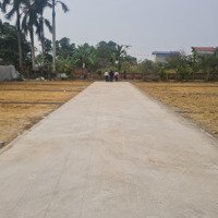 Mở Bán F0 Phân Lô Đan Tảo Tân Minh Sóc Sơn. Cách Trường Đua Ngựa 1Km. Full Thổ Cư. Chỉ 21. 5 Triệu/M2