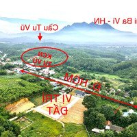 Bán Gấp Đất Siêu Hot Tại 316, Tu Vũ, Thanh Thủy, Phú Thọ, 420 Triệu, 145M2