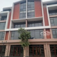 Ck 20% Shophouse 60M2 Mặt Tiền 5M, Giá Bán 8 Tỷ Chỉ Bằng Căn Liền Kề, Ngay Mặt Trung Tâm Thương Mại