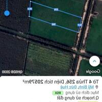 4,2 ha đất nông nghiệp ấp 1, xã Mỹ Bình, Đức Huệ, Long An giá 8,4 tỷ