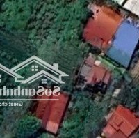 Bán Đất Tại Liên Nghĩa, 4,25 Tỷ, 252M2 Đẹp Xuất Sắc Giá Tốt