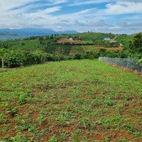 Bán Đất 1287M2, 1,95 Tỷ Tại Xã Tân Nghĩa, Di Linh, Lâm Đồng