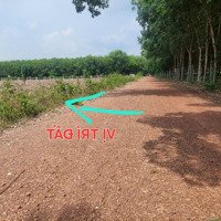 Kẹt Tiền Bán Gấp 1000M2, Cách Chợ Chỉ 5 Phút Di Chuyển. Quy Hoạch Đất Ở. 10X100M