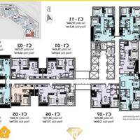 Cho thuê căn hộ Studio, 1PN +, 2PN, 3PN, Tại chung cư Dcapitale Trần Duy Hưng.