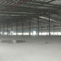 Cho Thuê Kho Xưởng 15600M2 Trong Kcn Hải Sơn, Đức Hòa, Long An