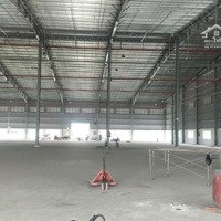 Cho Thuê Kho Xưởng 15600M2 Trong Kcn Hải Sơn, Đức Hòa, Long An