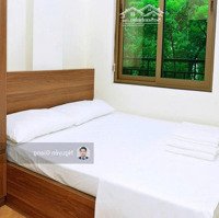 Bán Nhà Nguyễn Khánh Toàn- Cầu Giấy- Cho Thuê- Ccmn- 9P-Diện Tích 40 Triệuiệu- 45M2- Chỉ 10.4 Tỷ