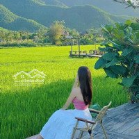 Đất Ở Tại Phú Sơn 3, Hòa Khương Ngang 7M View Cánh Đồng Tuyệt Đẹp