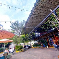 Cho Thuê Mặt Bằng 1000M2 Tại Phó Đức Chính. Mặt Tiền 40M. Ok Nhà Hàng, Cafe