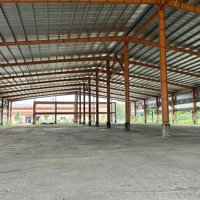 Cho Thuê Kho Xưởng 12000M2 Trong Kcn Phúc Long, Bến Lức, Long An