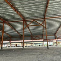 Cho Thuê Kho Xưởng 12000M2 Trong Kcn Phúc Long, Bến Lức, Long An