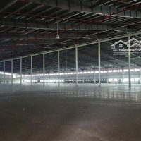 Cần Cho Thuê Nhà Xưởng Chưa Qua Sử Dụng 16.521 M2 Tại Kcn Hoà Bình, Thủ Thừa, Long An