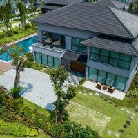 Bán Btđl Nam An Khánh 600M2, Nở Hậu, View Hồ Xịn Xò Ở An Khánh, Hoài Đức, Hà Nội