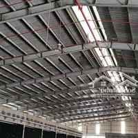 Cho Thuê 3500M2 Xưởng Kcn Chơn Thành Bình Phước, Giá: 300 Triệu , Pccc Tự Động, Giấy Tờ Đầy Đủ