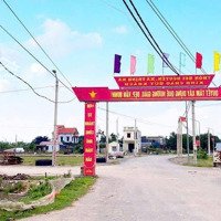 Bán Đất Đấu Giá Khu Phân Lô Trịnh Xá