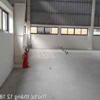 Cho Thuê Kho Xưởng Kcn Hải Sơn, Long An, Khuôn Viên : 7.000M2, Xưởng : 4.800M2, Pccc Tự Động