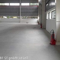 Cho Thuê Kho Xưởng Kcn Hải Sơn, Long An, Khuôn Viên : 7.000M2, Xưởng : 4.800M2, Pccc Tự Động