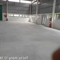 Cho Thuê Kho Xưởng Kcn Hải Sơn, Long An, Khuôn Viên : 7.000M2, Xưởng : 4.800M2, Pccc Tự Động