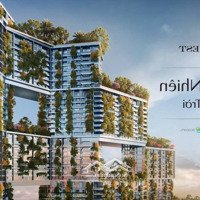 Bán Nhanh Căn 2 Phòng Ngủở Sky Forest Ecopark Chênh So Với Hđmb Thấp Nhất Ecopark Chỉ 270 Triệu Bp Tầng Trung