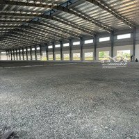 Cho Thuê Kho Xưởng Kcn Hải Sơn, Long An, Khuôn Viên: 5.000M2, Xây Dựng: 2.500M2, Pccc Tự Động