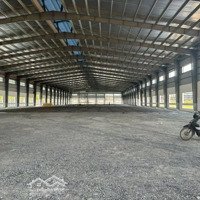 Cho Thuê Kho Xưởng Kcn Hải Sơn, Long An, Khuôn Viên: 5.000M2, Xây Dựng: 2.500M2, Pccc Tự Động